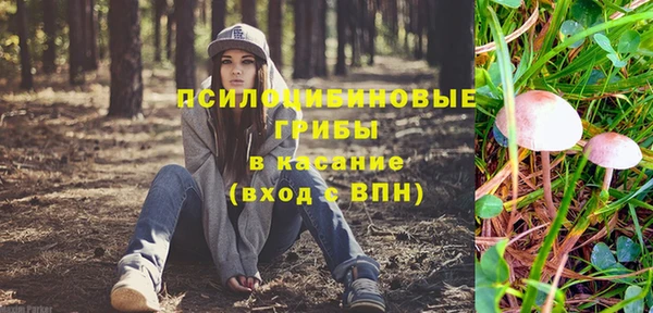 индика Зеленокумск