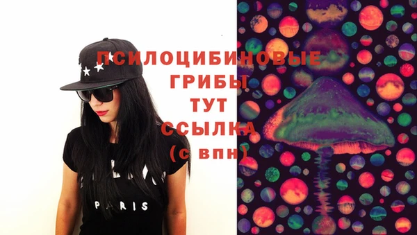 индика Зеленокумск