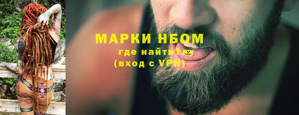 индика Зеленокумск