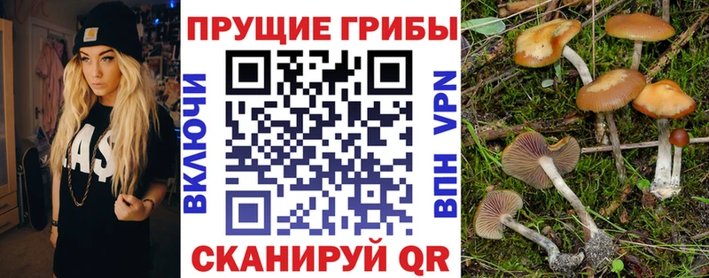 Псилоцибиновые грибы ЛСД  Купить где  Купино 